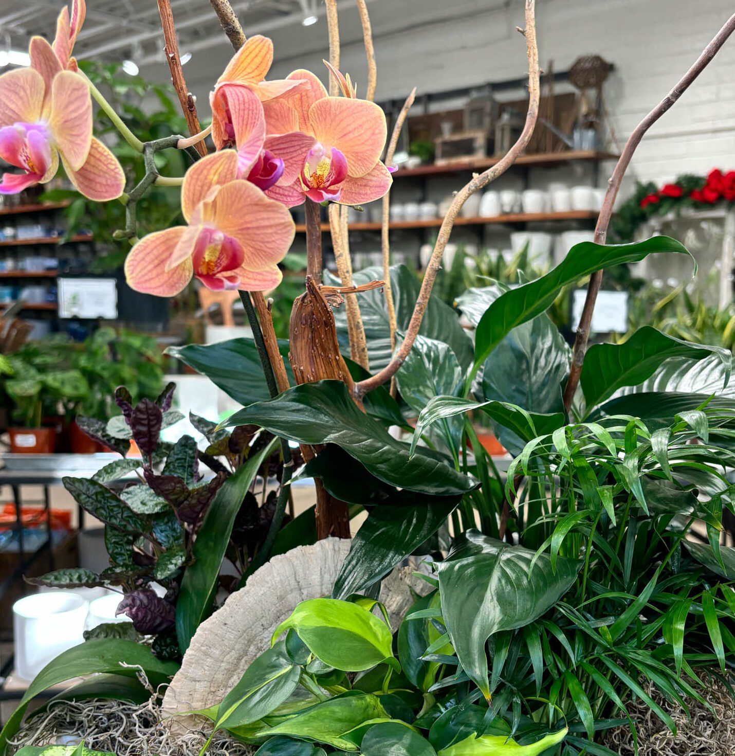 garden-center-14-1-